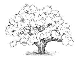 Baum Zeichnen Schritt Fur Schritt Baume Zeichnen Perspektive Zeichnen Landschaft Zeichnen