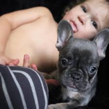 Justin & Marcella Reilly (@reillysark) • Instagram photos and videos