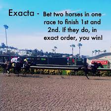 Exacta Strategies Thinking Outside The Box A Game Of Skill