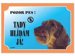 Image result for jezevčík drsnosrstý