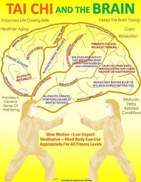 Your Brain On Tai Chi The Benefits Of Tai Chi Energy Movement And Chakra Balancing Taichi Chakr Benefits Of Tai Chi Tai Chi For Beginners Tai Chi Exercise