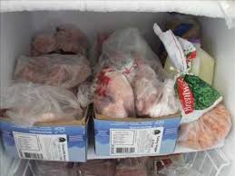 Introduction To Feeding Raw Part 2 Myths Facts And Resources Prey Model Barf Natural Dog Food Dog Food Recipes Natural Dog Food Raw Dog Food Diet