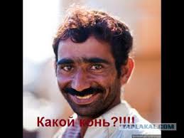 Пожар в заповеднике "Тузловские лиманы" потух после ночного дождя, - директор - Цензор.НЕТ 564