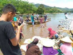 Check spelling or type a new query. Seru Ribuan Warga Antusias Ikuti Kegiatan Mancokou Ikan Di Lubuk Larangan Desa Gema