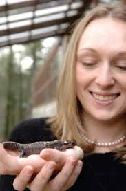 Graduate research symposium