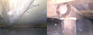 Image result for site:byggahus.se påväxt