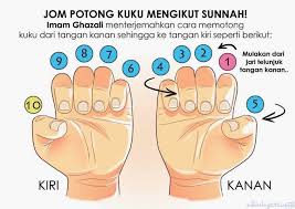 Turutan potong kuku mengikut Sunnah - Pusat Tuisyen AdvanceStudy ...