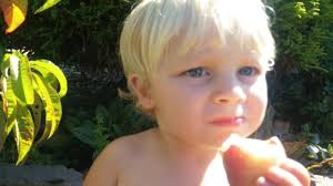 Ultra Dwarf Patio Fruit Trees