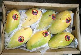 Oct 04, 2012 · 可惜，此蘋果芒不是小妹口味。不過，澳洲昆士蘭大學硏究報告，台灣的愛文 irwin， 即蘋果芒，和泰國的金煌芒，這兩品種的芒果皮，可抑制脂肪細胞形成。 今天路過元朗，石崗咖哩屋，門口擺放了一箱箱芒果，$80/3kg，有四、五個，來自巴基斯坦。立即搬了一箱。 å¤§çœ¾æžœæ¬„ç¶²ä¸Šå°ˆé–€åº— æœ€æ–°å¼•å…¥ç©ºé‹å·´åŸºæ–¯å¦èŠ'æžœ Honey Mango æ–°å‡æœŸè©•åˆ†ç¬¬ä¸‰ ç·Šæ¬¡æ–¼æ—¥æœ¬å®®å´ŽèŠ' Facebook