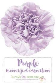 The Complete Guide To Purple Wedding Flowers Purple Flower Names Purple Carnations Light Purple Wedding Flowers Purple Flower Names
