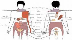 Senzație de arsură în zona intimă? 7 Dureri Pe Care Nu Trebuie SÄƒ Le Ignori Pot Semnala AfecÈ›iuni Foarte Grave