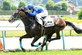 ＰＯＧ情報】新馬Ｖナチュラルハイは芙蓉Ｓを目標に 黒岩調教師「長めの距離を使っていきたい」 | 競馬ニュース・特集なら東スポ競馬