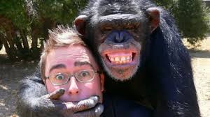 Hayvanların 'insan hakkı' olur mu?