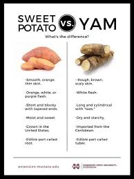 Sweet Potato Vs Yam In 2020 Yams Vs Sweet Potatoes Yams Sweet Potato