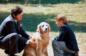 Dabei gilt es berge zu überqueren und sich gegen bären und pumas zu behaupten. Benj Thall Uber Diesen Star Cinema De