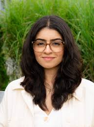 The Wise Mind Institute