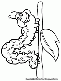 Amazing coloring pages of bugs pictures and bug. Cute Bug Coloring Pages Coloring Home