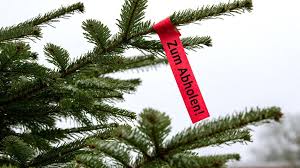 Können sie mir noch bescheid geben, wann ich das rezept abholen kann? Hechingen In Der Kernstadt Werden Weihnachtsbaume Abgeholt Hechingen Umgebung Schwarzwalder Bote