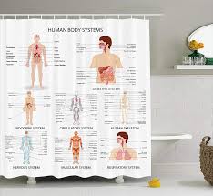 Us 16 24 35 Off Human Anatomy Shower Curtain Complete Chart Of Different Organ Body Structures Cell Life Medical Fabric Bathroom Decor In Shower