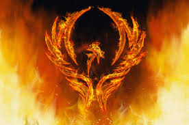 Maybe you would like to learn more about one of these? What Is A Phoenix Wonderopolis
