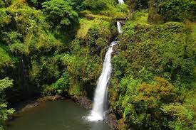 I got to say hawaii is probably my favorite place in the world for beauty for development for just comfort of travel like it, it's something else, this is. Hana Waterfalls Black Beach Turtles Tour From Kahului 2021 Maui