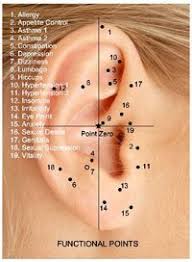 acupuncture ear piercing chart www bedowntowndaytona com