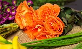 Black tulip flowers cater to all discount & retail dissemination channels for residential & worldwide markets. Bouquet Of Fresh Flowers Black Tulip Flowers L L C Groupon