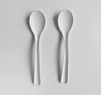 Certified Eco White Paper Ice Cream Spoon | Shop Eco Spoons ...
