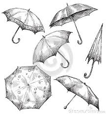 Black And White Transparent Umbrella Clipart Set Of Umbrella Drawings Hand Drawn Umbrella Drawing Umbrella Illustration Umbrella Art