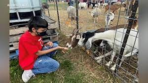 02.04.2021 · chinese woman killing a goat / chinese woman killing a goat : Syhn1gepf3p3lm