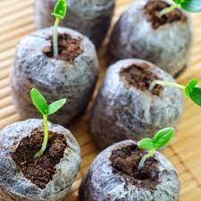 Expanding Seed Starting Soil Pods And Pellets Seed Starting Soil Fall Garden Vegetables Seed Starting
