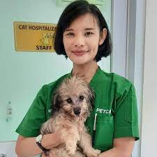 1,822 likes · 2 talking about this. Pet Care Vet Ampera Home Facebook