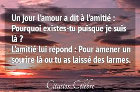 Un Jour L Amour A Dit A L Amitie Pourquoi Tu Existe Puisque Je Suis La L Amitie Lui Repond Pour Amener Un So Citation Citations Celebres Paroles De Sagesse