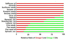 Omega 3 Vs Omega 6 Efas Are They Both Good