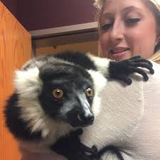 It's hard to put into words how much Sammi Jackson meant to Up+Adam and as  a friend. For 15 years, she was more than a fixture