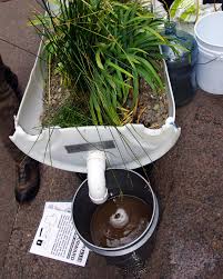 They can tolerate frequent watering and once established they can go long. Grey Water Definition And Synonyms Of Grey Water In The English Dictionary