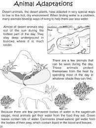 Adaptation of plants and animals worksheet pdf for kids. Animal Adaptation Plans On Pinterest Animal Adaptations Plant Adaptations Animal Adaptations Adaptations