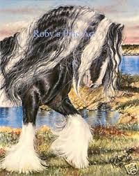 5 X 7 Gypsy Vanner Horse Art Print Gypsy Vanner By The Sea By Roby Baer Psa Ebay The gypsy vanner horse society's mission is to bring honor, recognition, and a better understanding to these horses which the gypsy people love so dearly. ebay