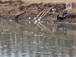 Lihat video klik di siniorang stres gak ada. Kota Australia Ini Pakai Jaring Inovatif Untuk Saring Sampah Plastik Di Sungai Bisa Ditiru Indonesia Global Liputan6 Com