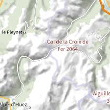 Image result for Vincetoxicum stenolobum