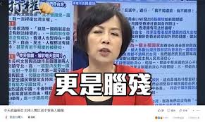 Image result for 親中黃智賢