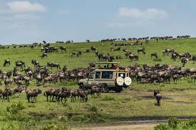 Maybe you would like to learn more about one of these? Spacetraveller Activity 5 Days Budget Safari 1nt
