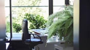 The 1 Office Perk Natural Light