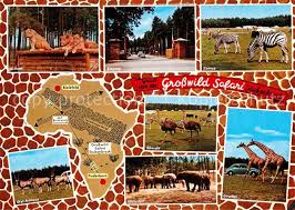 Erlebnisreiche safaris in afrika mit flexiblen abreisezeiten einschl. 73572196 Stukenbrock 20 Jahre Hollywoodpark Safariland Stukenbrock Ebay