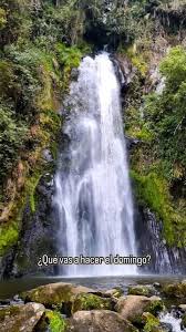 Wilmar Rincon Castellanos 的Instagram video • Feb 8, 2024 at 6:22 AM