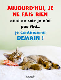 Aujourd Hui Je Ne Fais Rien Mais Je Le Fais Bien C Est Bien Le Chat Citation Chat Chat Humour Blague Chat