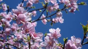 Anual, in ultima duminica a lunii octombrie se trece la ora de iarna. Azi E EchinocÈ›iul De PrimÄƒvarÄƒ Cand Se SchimbÄƒ Ora Mamaplus