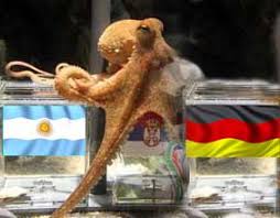 Image result for german octopus predicts football final