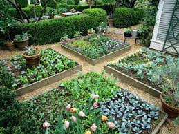 How to lay out and build raised beds for growing delicious vegetables at home. Flower Bed And Raised Bed Ideas Hgtv