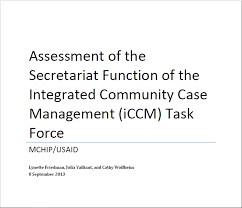 Task Force Secretariat Assessment Mchip Usaid 2013